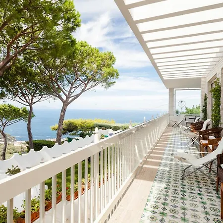 Amore - Pizzo Villa