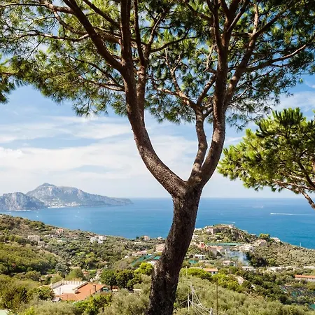 Villa Amore - Pizzo *
